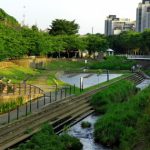 横浜市泉区の事例